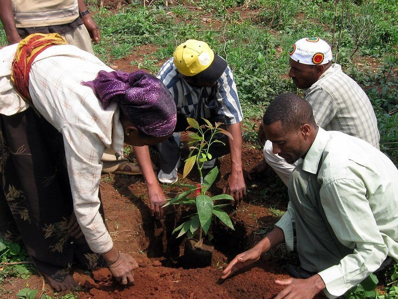 For The People + Planet